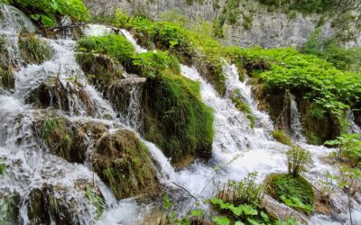 Terenska nastava 5. i 6. razreda